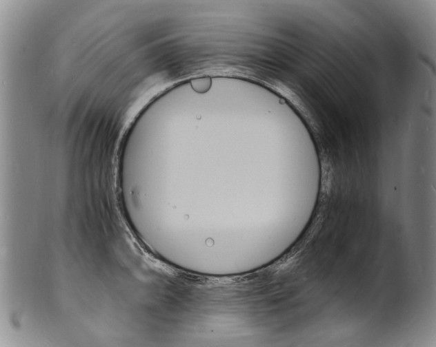 X0000101671094200807101043