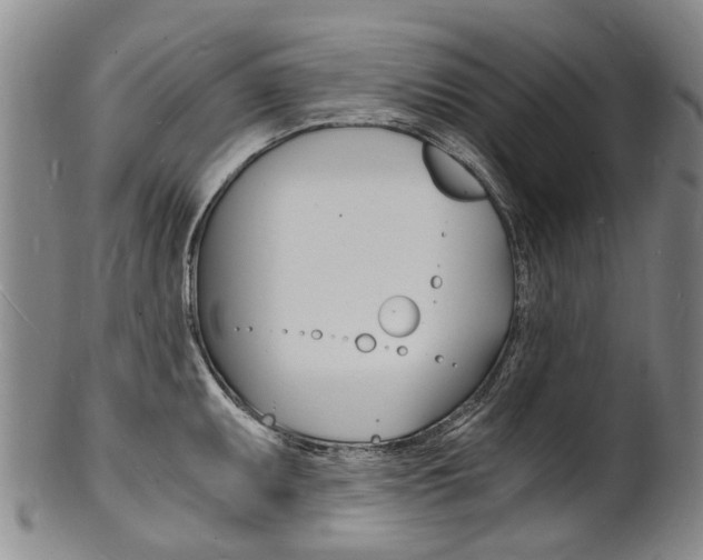 X0000101671095200807101043