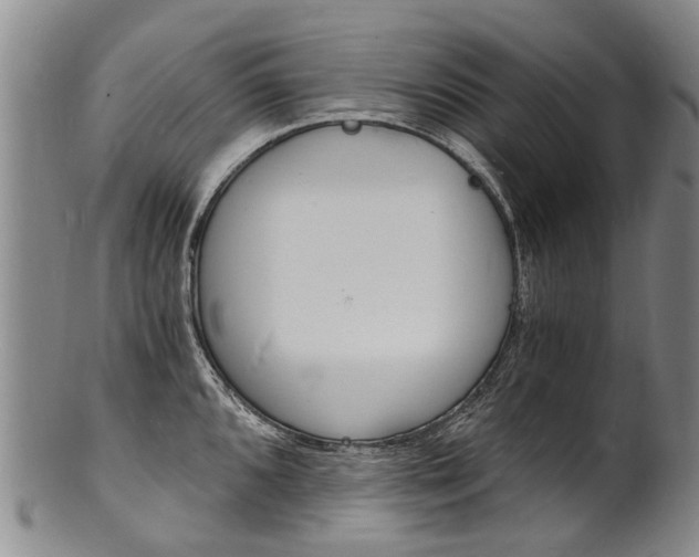 X0000101671096200807101043