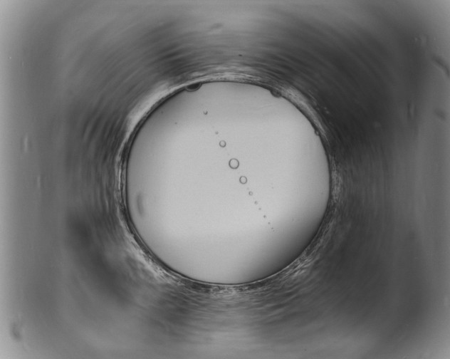 X0000101671099200807101043