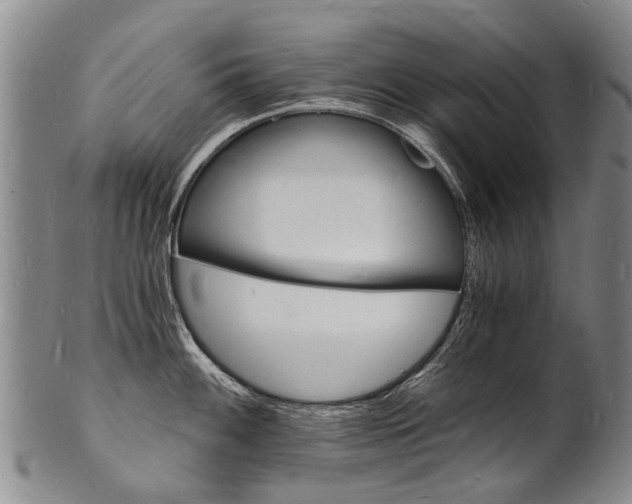 X0000101671100200807101043