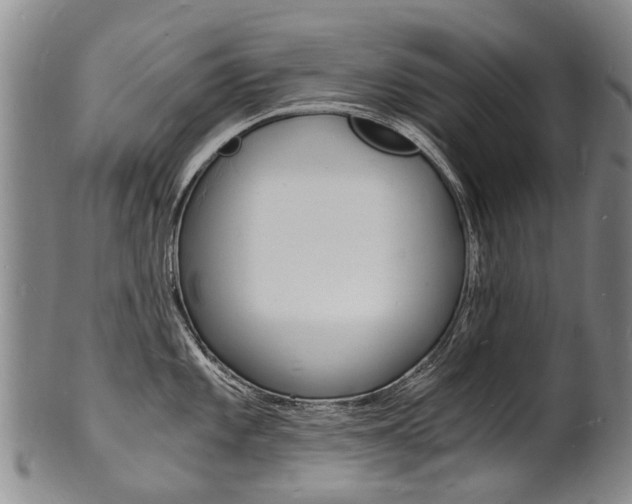 X0000101671101200807101043