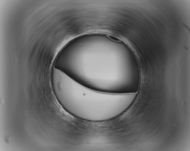 X0000101671102200807101043