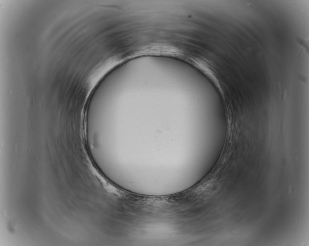 X0000101671103200807101043