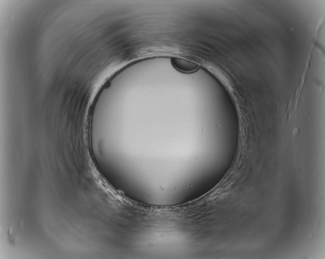 X0000101671104200807101043