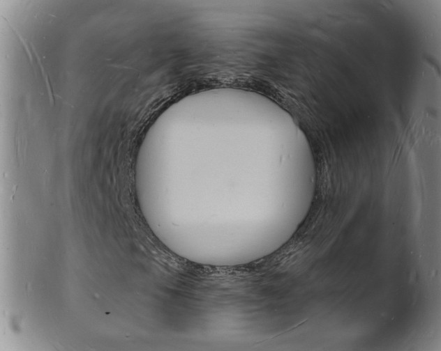 X0000101671105200807101042