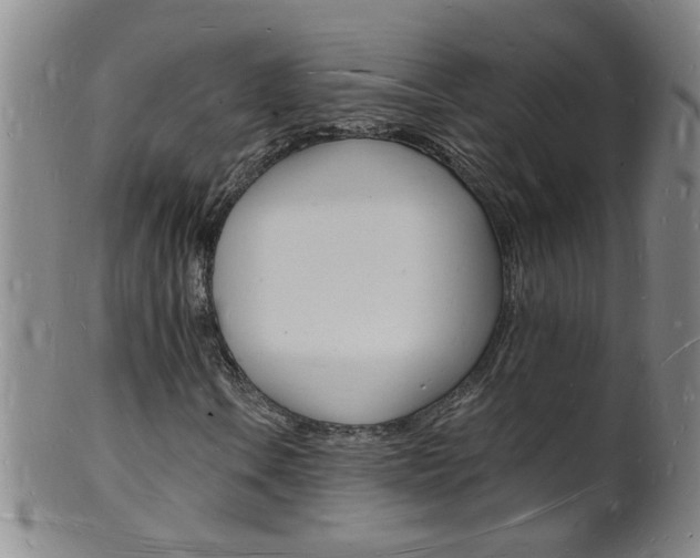 X0000101671106200807101042
