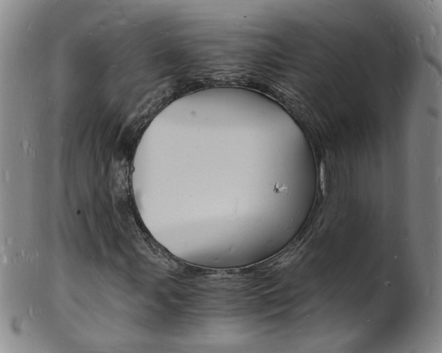 X0000101671107200807101042