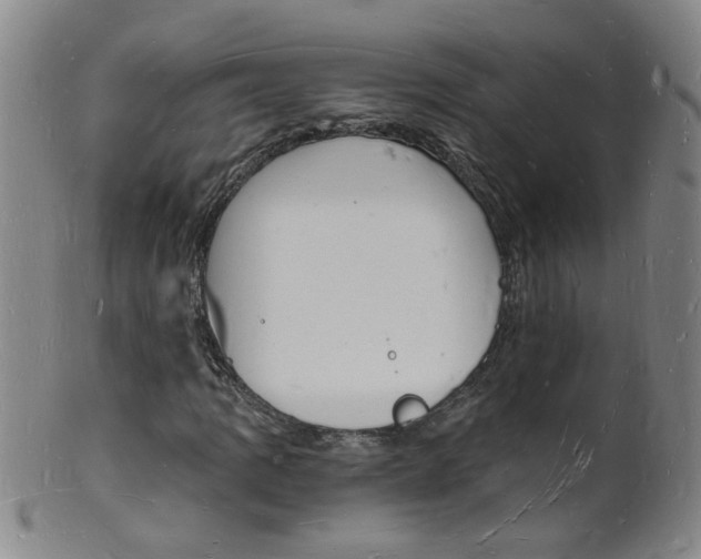 X0000101671109200807101042