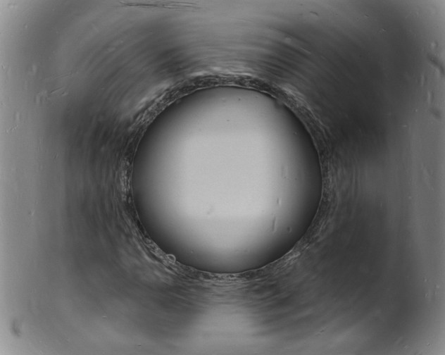 X0000101671110200807101042