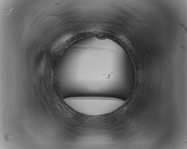 X0000101671111200807101042
