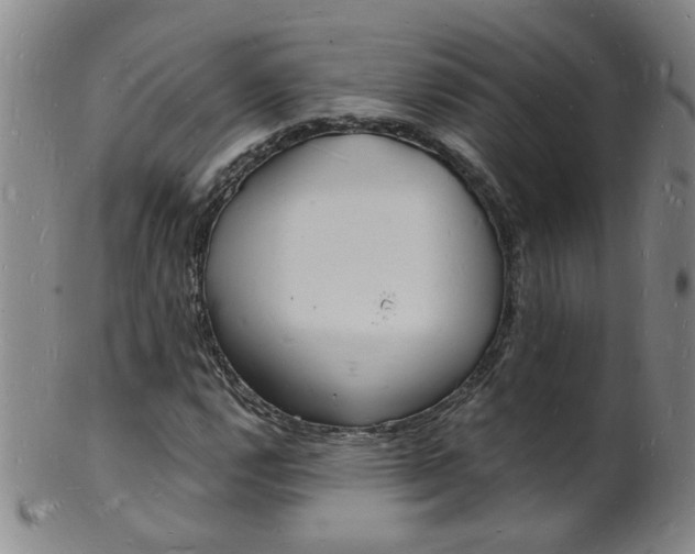 X0000101671112200807101042