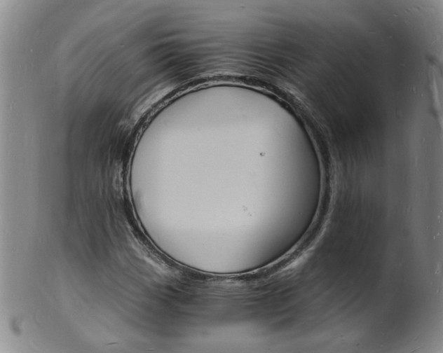 X0000101671113200807101042