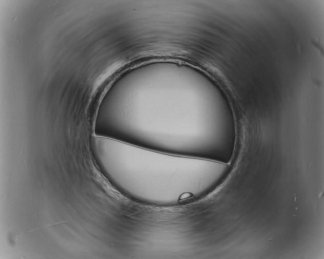 X0000101671114200807101042