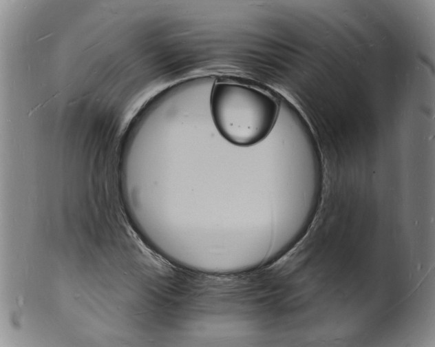 X0000101671115200807101042