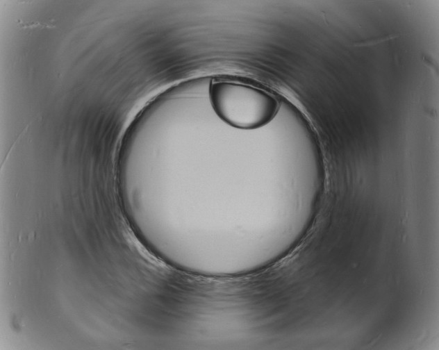 X0000101671116200807101042