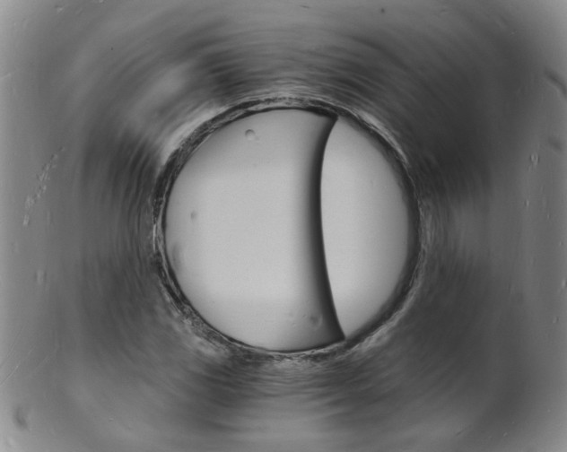 X0000101671117200807101043