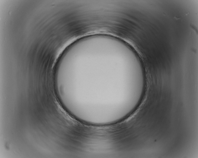X0000101671118200807101043