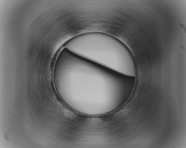 X0000101671119200807101043