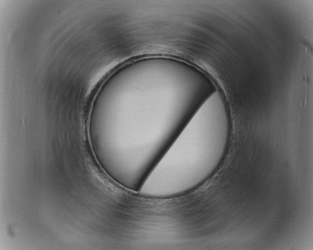 X0000101671120200807101043