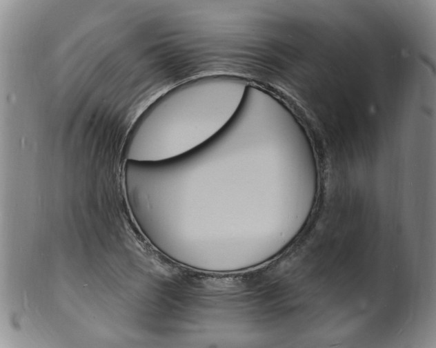 X0000101671121200807101043