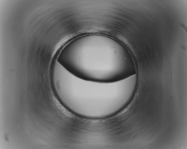 X0000101671122200807101043