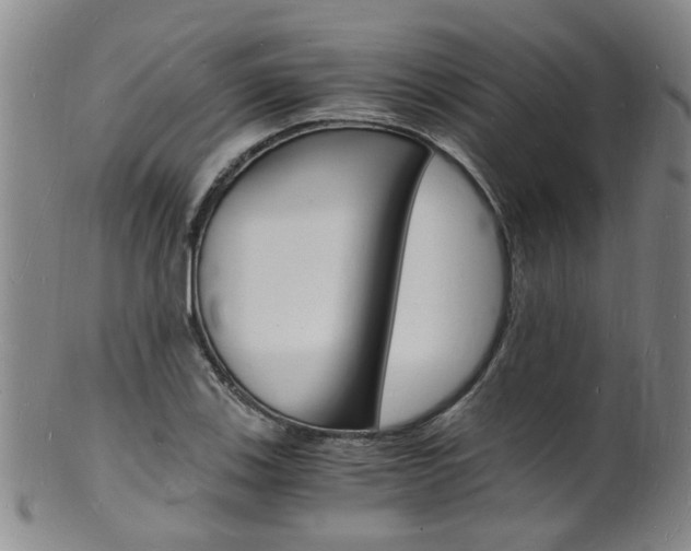 X0000101671123200807101043