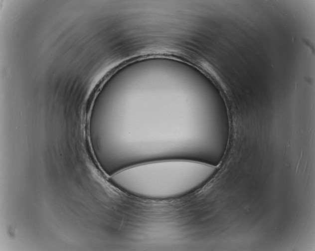 X0000101671124200807101043