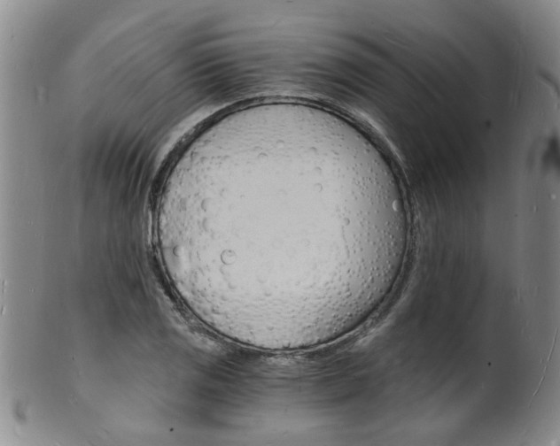 X0000101671125200807101043