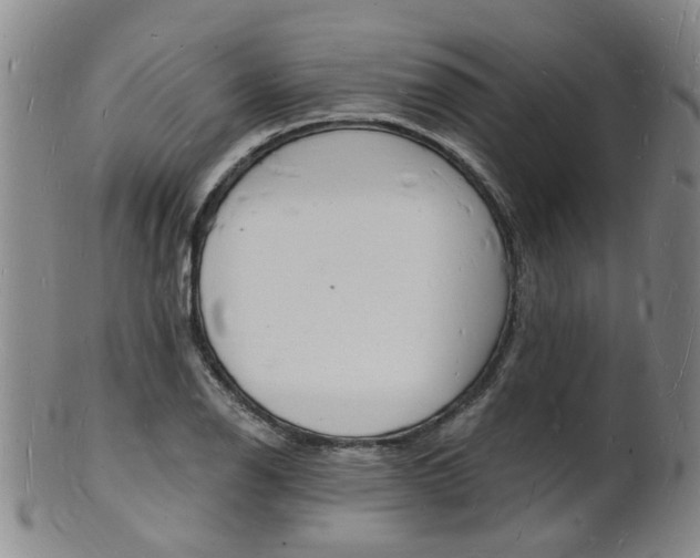 X0000101671126200807101043