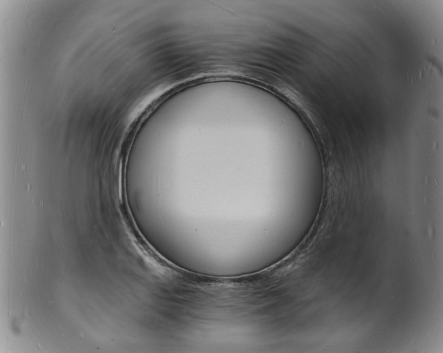 X0000101671127200807101043