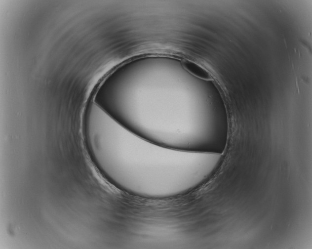 X0000101671128200807101043