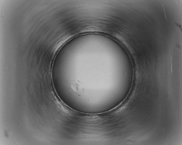 X0000101671129200807101043