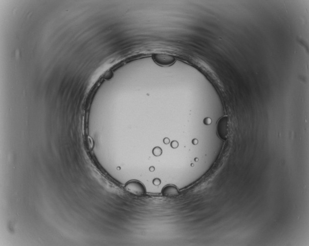 X0000101671130200807101043