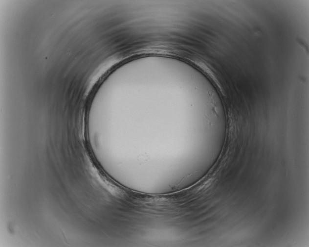 X0000101671131200807101043