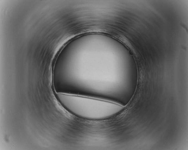 X0000101671132200807101043