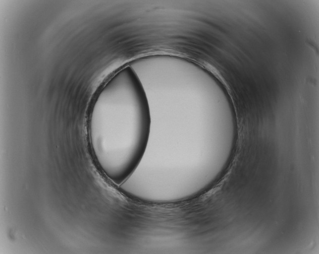 X0000101671133200807101043