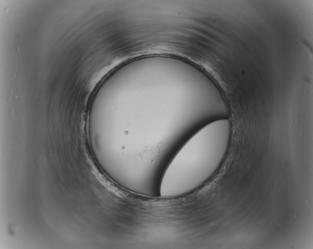 X0000101671134200807101043