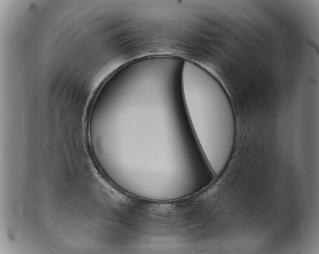 X0000101671135200807101043