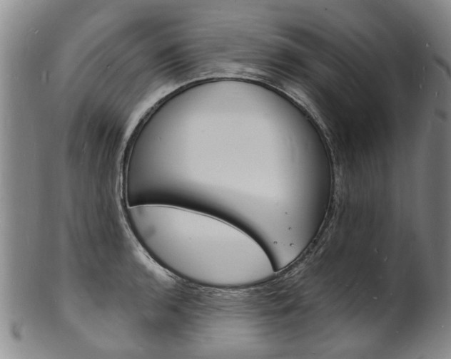 X0000101671136200807101043