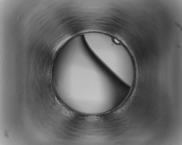 X0000101671137200807101043