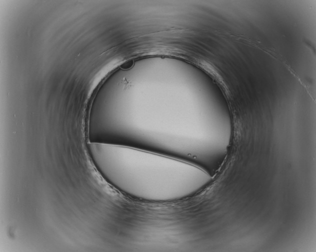 X0000101671138200807101043