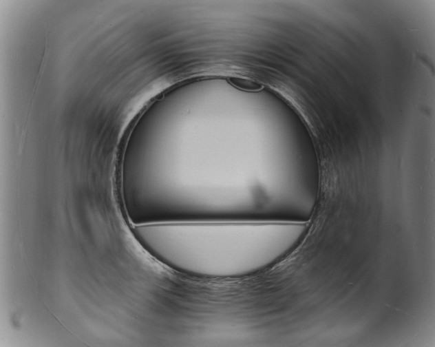 X0000101671139200807101043