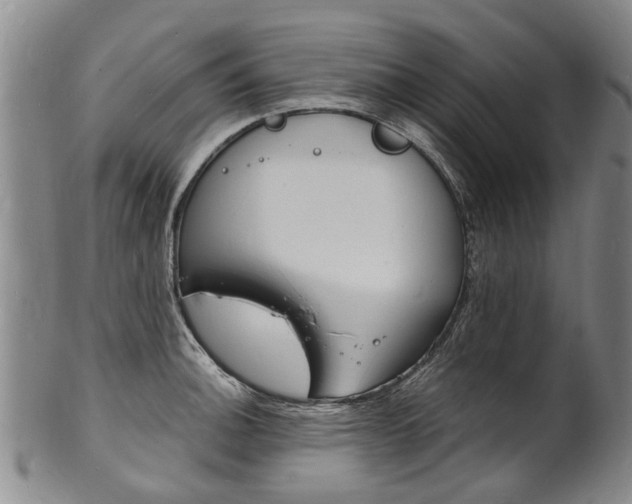 X0000101671140200807101043