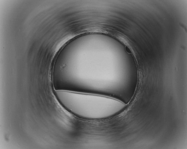 X0000101671141200807101043