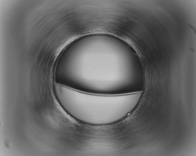 X0000101671142200807101043