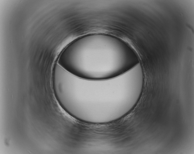 X0000101671143200807101043