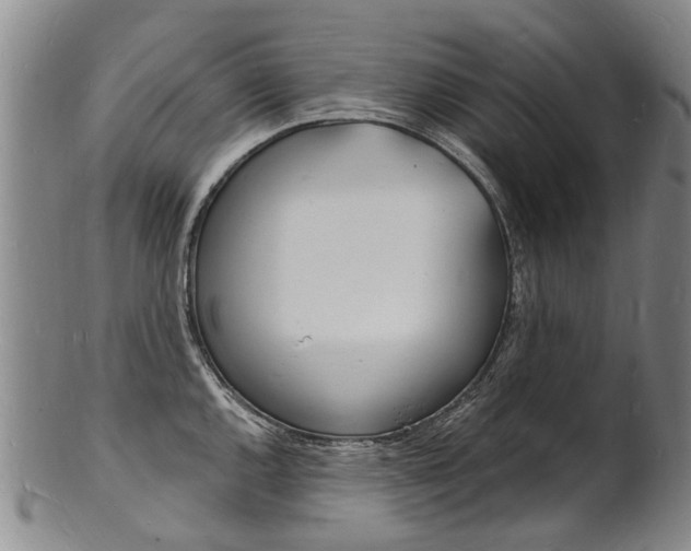 X0000101671144200807101043