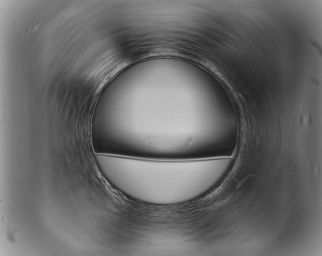 X0000101671145200807101043