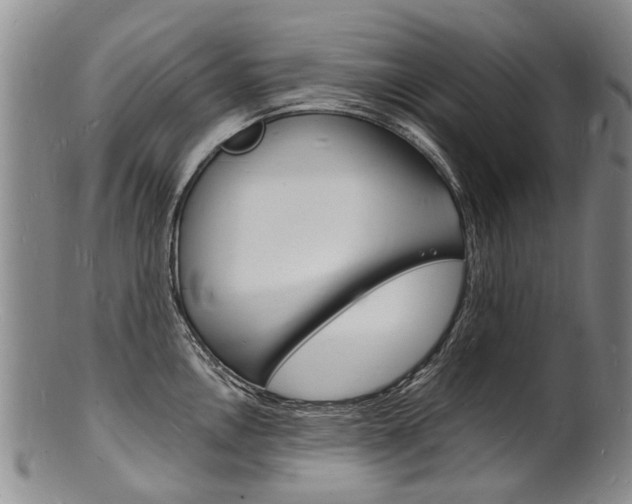 X0000101671146200807101043